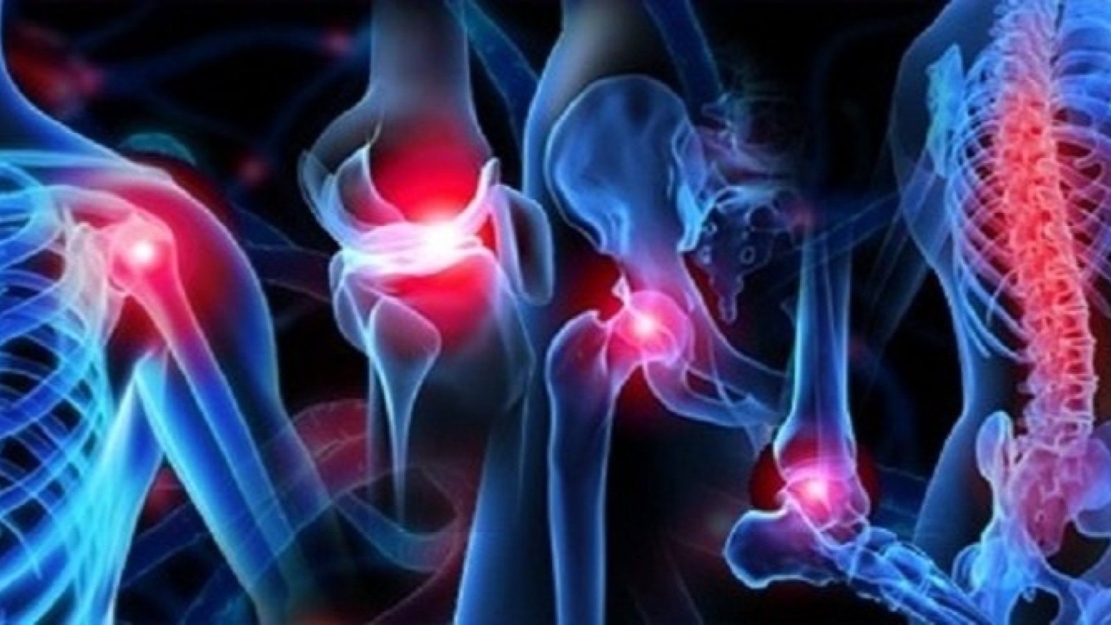 Orthopedics and Traumatology